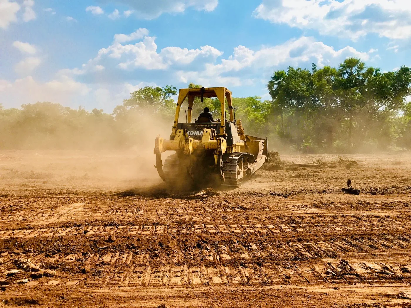 Heavy equipment clearing an open lot in Johnson County, Indiana