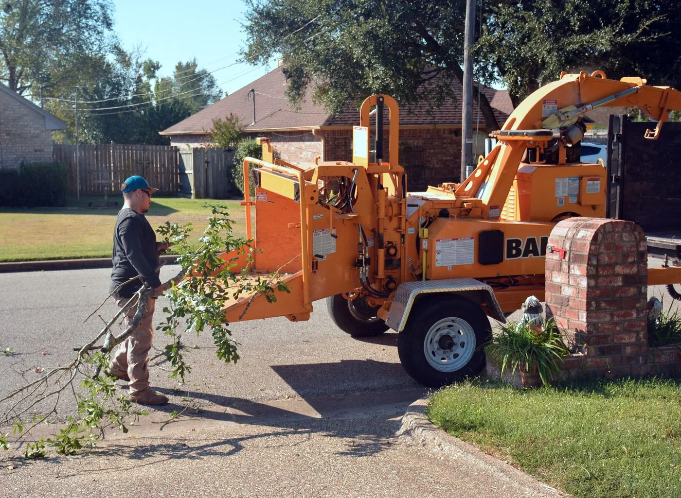 Brush and branches fed into a chipper and hauled away by Javier's Tree Service